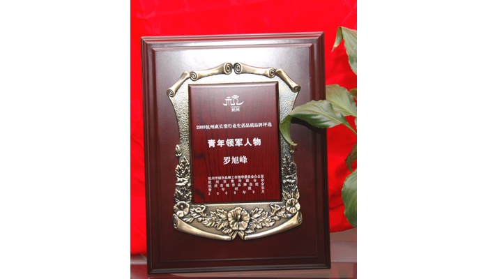 2009杭州成长型行业生活品质品牌评选，总经理罗旭峰获得“青年领军人物”的荣誉称号。